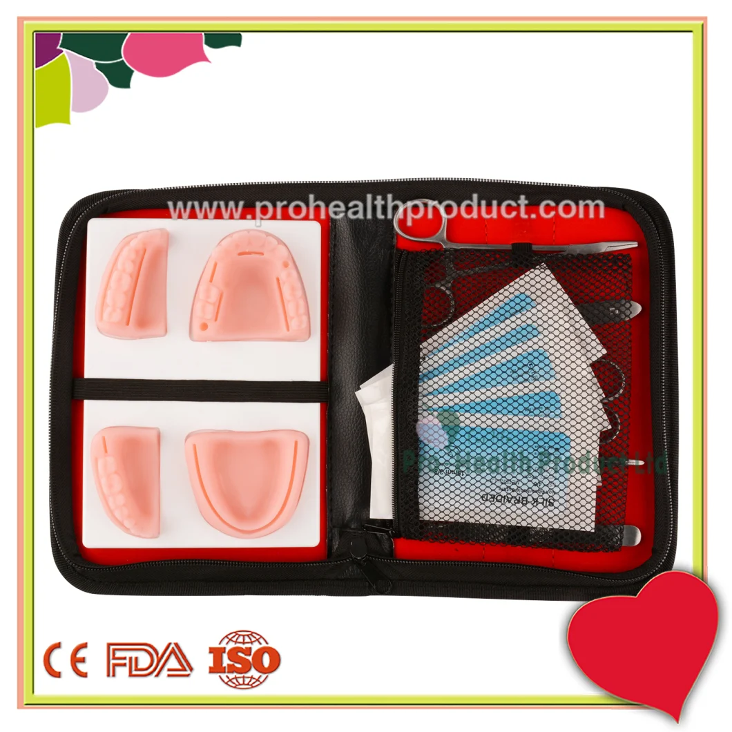 Dental Suture Pad Dental Suture Modek Kit Gum Suture Practice Kit with Pouch 5 tools Dental Surgical Training