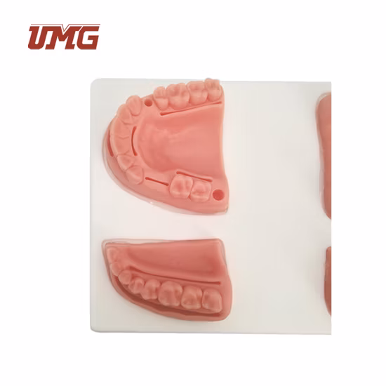 Medical Training Dentist Suture Pad Practice Dental Suturing and Implants