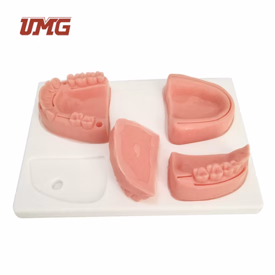 Medical Training Dentist Suture Pad Practice Dental Suturing and Implants
