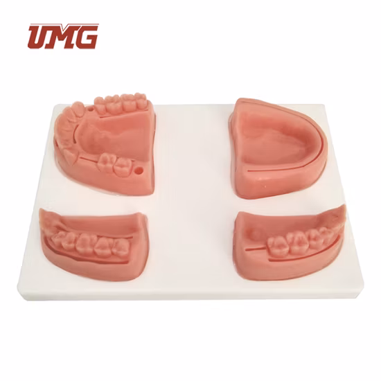 Медицинская подготовка стоматолога, практика наложения швов на зубы и имплантатов